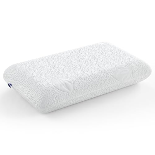BedStory Almohada Viscoelástica 70 cm, Núcleo Compacto, Tejido Aloe Vera, Soporte Cervical Ergonómico, Memory Foam Adaptable Cuello, Funda Cremallera Lavable - 40x70 cm