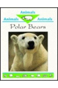Hardcover Polar Bears Book