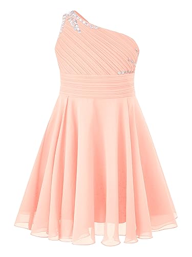 iEFiEL Mädchen Kleid Festlich Hochzeit Partykleid Tüll Festzug Kleidung...