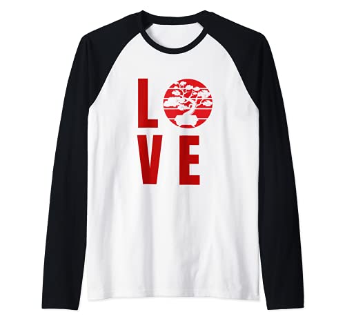 Liebe chinesische Ulme Bonsai Baum japanische Gartenarbeit Raglan