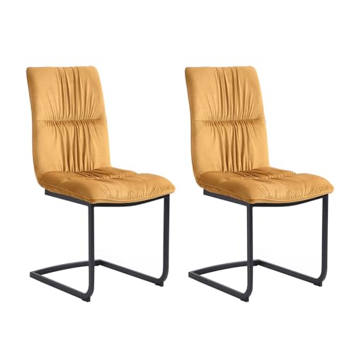 B&D home Esszimmerstühle Olivia 2er Set, Freischwinger Stühle Esszimmer,...