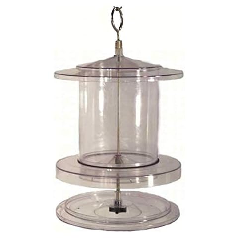 Songbird Essentials SEAWFFF734 Clear 4qt All Weather Feeder (Set of 1) Cover