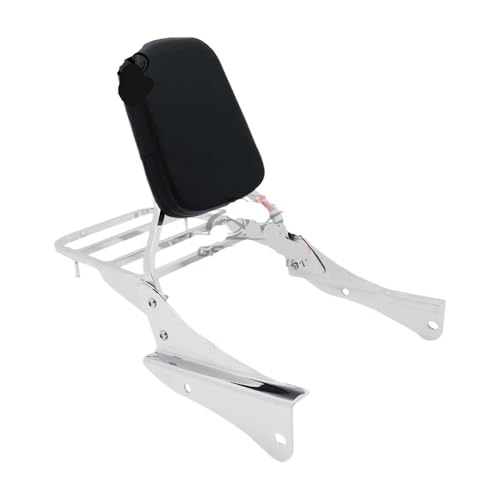 Dossier Passager Porte-bagages Haute Résistance pour Custom Shadow VT750DC