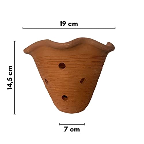 Vaso Cerâmica de Orquídea Furado para Parede 19x14cm Cor: Marrom