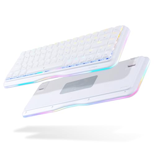 DIERYA K68se Q[~OJjJL[{[h 60%L[{[h bhjAXCb`t RGBobNCg RpNg~j68L[ A`S[Xg PC Windows Q[}[ ^CsXgp