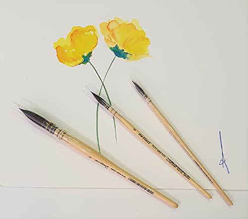 Da Vinci - Pennello per acquerello francese