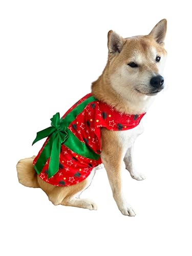 Christmas Present Costume