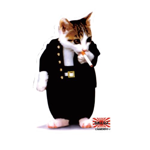 Amazon.co.jp: [なめ猫] なめんなよ ステッカー NAMENNAYO ST-E2