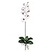 Nearly Natural Home Indoor Decorative Tabletop Fancy Phalaenopsis Stem Set of 12 White