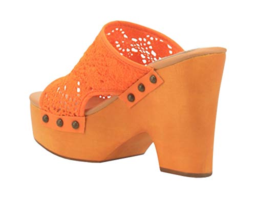 Dingo Crafty Orange 9 B (M) #TOP3