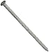 MAZE NAILS T4491S-5 Double Dipped Spiral Shank Pressure Treated Lumber Nail, 5-Pound 16D 3-1/2-Inch