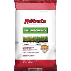 REBEL TALL FESCUE 20 LB MFG: 100543730