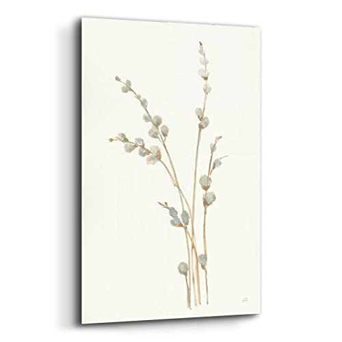 Epic Art 'Pussy Willows I' By Chris Paschke, Acrylic Glass Wall Art, 12"X16" #TOP1