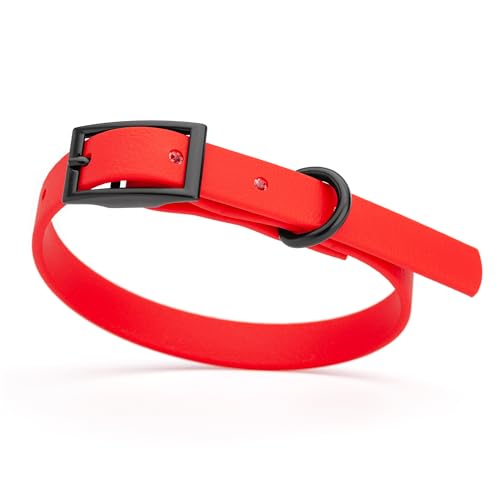 Image of Dogline Biothane Waterproof Dog Collar Strong Coated Nylon Webbing with Black Hardware Odor- Proof for Easy Care Easy to Clean High Performance Fits Small Medium or Large Dogs, Cherry Red