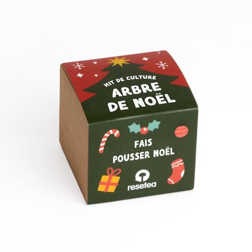Kit Arbre de Noël | Faites Pousser Votre Propre Sapin à la...
