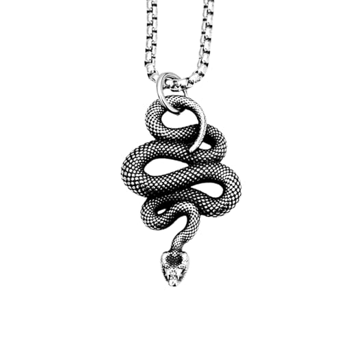 Collier pour hommes serpent pendentif gothique cadeau homme
