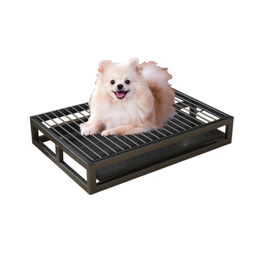 Plateau d'apprentissage de la propreté pour chien idéal en appartement ou sur le balcon
