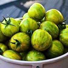 100 Graines Bio de Tomate Green Zebra - Semences Nouvelles 2017