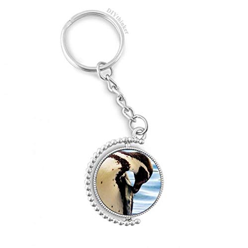 Idée cadeau originale porte-clés rotatif manchot Antarctique multicolore