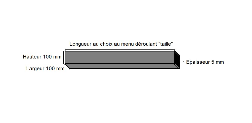 LeMétal - Tube carré acier 100x100x5 mm - Longueur au choix de 20 à 300 cms (50 cms)