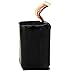 Grace Digital ACC-IRCLI Rechargeable Battery Pack for Mondo and Mondo+