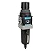 Filter-Regulator,Particles/Water Removal