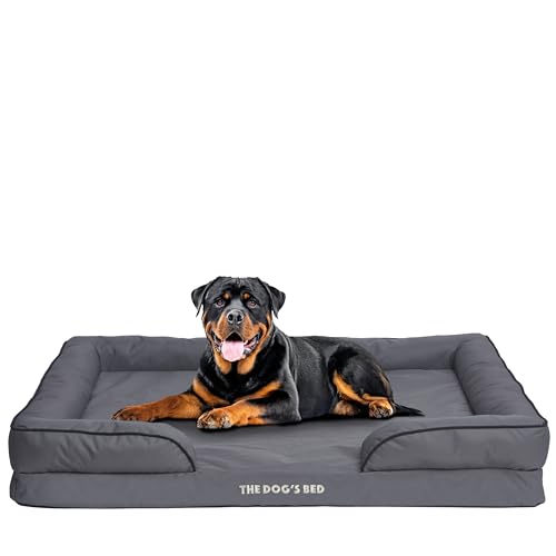 The Dog’s Bed, Orthopedic Standard Foam Waterproof Dog Bed with Standard Support, XXL Grey with Black Trim, Waterproof, Supportive Dog Bed with Replaceable Covers