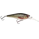  Spro IKIRU SHAD 70SL 7cm Wobbler Kunstköder für Forelle Barsch, Farbe:Roach