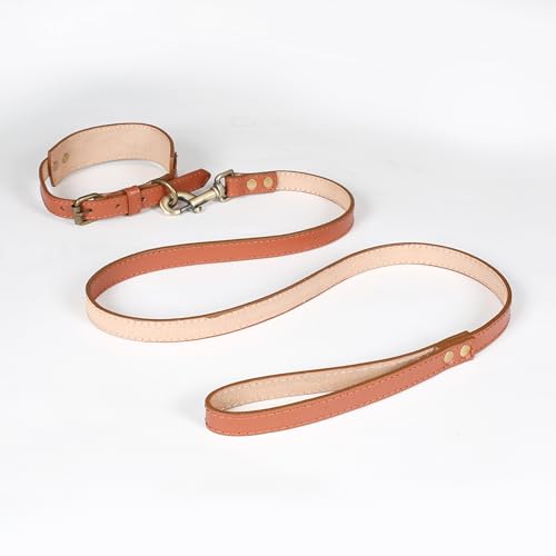 Ensemble collier et laisse pour chien en cuir souple marron clair 45cm - 2