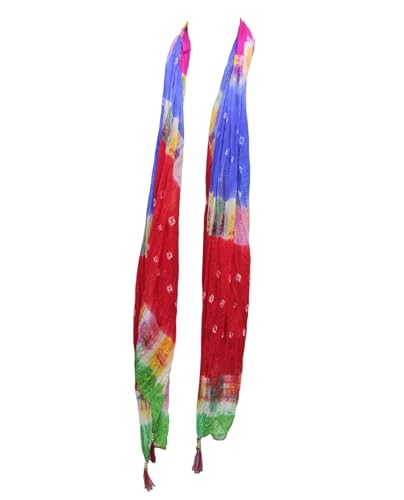 Foulards indiens multicolores femme grand format 76x35 pouces lot de 10 étoles