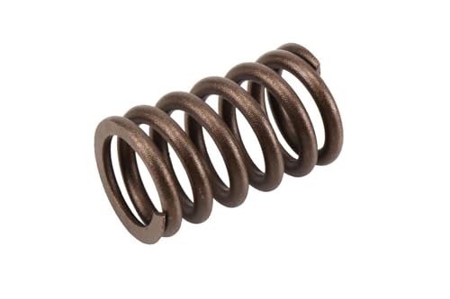 GM Genuine Parts 10212811 Valve Spring