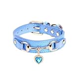 Le collier pour chien est adapté pour un usage quotidien comme la marche, et également parfait pour les occasions spéciales telles que les fêtes, anniversaires, mariages, Noël et autres fêtes