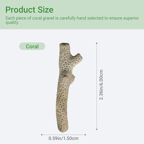 Image of 1.1lb /500g Crushed Coral, Natural Fish Tank Crushed Coral, Crushed Coral Filter for Freshwater Aquarium Ph Aquarium Bio Filter Media Bag Reusable Aquarium Filter