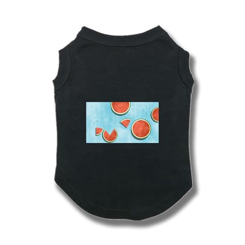 [XANPYO] ybg tďH tVc ^ M ybg  hbOEFA xXg t@bV lC  Ȃ Ȑ lGʗp ^ ʋC ₩ Ăh Eѕی U ubN o