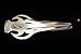 Shamanicshop Jew's Harp by V.Kholniy / Batman / - Professional Mouth Musical Instrument (Jaw Harp) - Stainless Steel, Silver