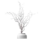 Faible entretien et gain de temps : contrairement aux vraies branches, ces branches d'arbre n'ont pas besoin d'être coupées ou arrosées..Ils sont très faciles à utiliser..Elles ne se flétrissent jamais et ne nécessitent aucun entretien. Ces branches de faux arbres restent en parfait état année après année.