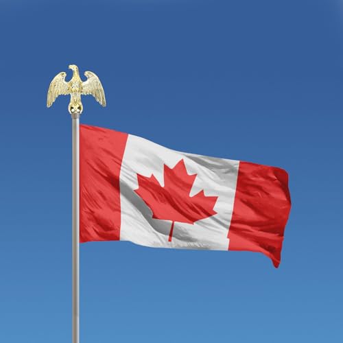 Yardwe Flagpole Adlerkopf Outdoor Flag Outdoor Decor Flag Poles for Outside House Flagpole Topper Flag Pole Adler Topper Flag Head DIY Flag Pole Decor Fahnenmastkopf Fahnenmastspitzen