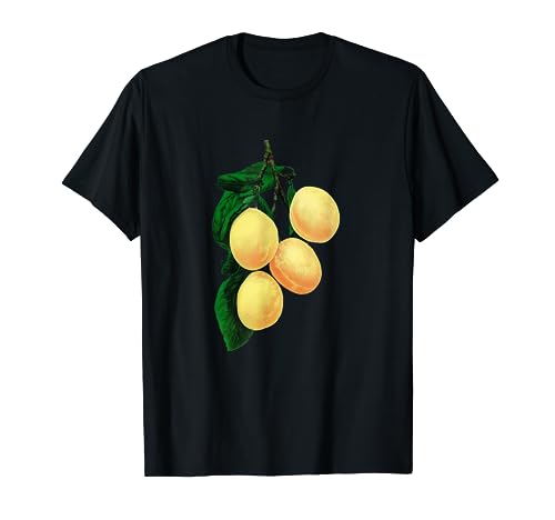 Vintage Coe's Golden Drop Prune Botanique Spécimen T-Shirt