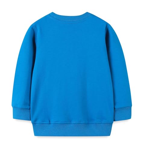 Boys Sweatshirts Long Sleeve Sweatshirts T-shirts Crew Neck Cotton Casual Sweatshirts Cartoon Tops for Boys-642