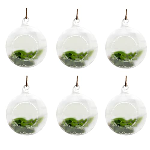 JFBUCF 6 macetas colgantes de cristal para terrario, 10 cm, redondo, contenedor transparente para colgar velas, bricolaje, hogar, jardín, boda, fiesta, decoración