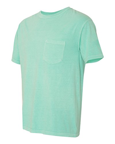 Image of Comfort Colors Adult Short Sleeve Tee, Style G1717