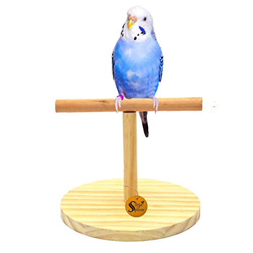 Sage Square Wood Sand Table Top Stand with Bird Playful Wood Sand Table Top Stand, Cage Accessory Perch Bird Toy for Budgies, Cockatiel, Parrot – The Ultimate Perching and Training Solution. (B087CPKQL5) Amazon Price History, Amazon Price Tracker