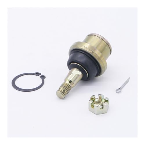 Rotule M10 29 x 14 mm pour quad et buggy de 350 cm3 - 6