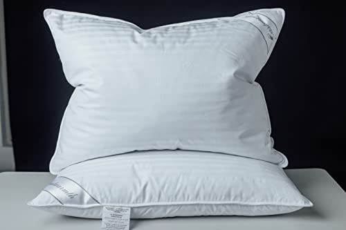 Oreiller en plumes d'oie blanche et coton supérieur à rayures