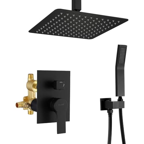 Douche de plafond 12 pouces combinée contre les variations de pression LWX - 2