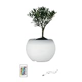 NVOQILIN Pots de fleurs LED à changement de couleur pour plantes grasses d'intérieur jardinage et décoration de la maison avec base lumineuse