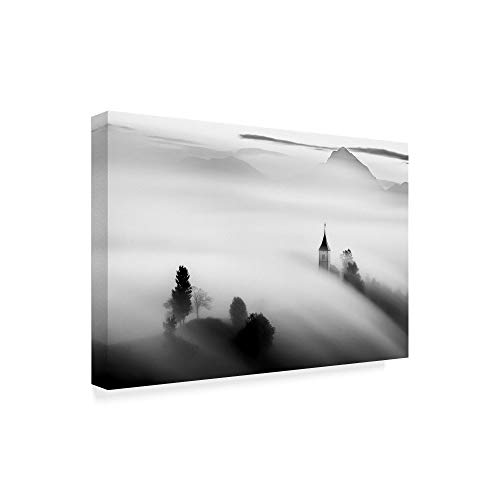 Trademark Fine Art 1X06761-C2232GG in The Clouds Fog by Lubos Balazovic Fine Art, 22x32-Inch, Multicolor