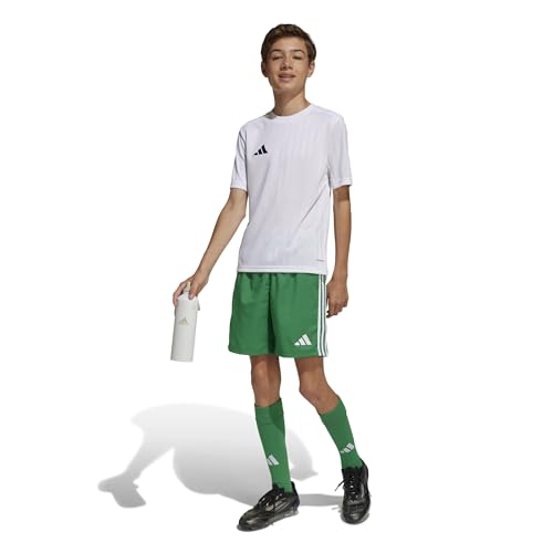 Adidas Tastigo 25 Youth Soccer Shorts XL4