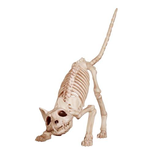 Crazy Bonez Skeleton Cat - Lil Kitty Bonez