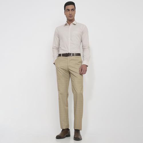Image of Raymond Contemporary Fit Dark Fawn Trouser for Men